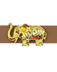 Brown Leather Belt Band