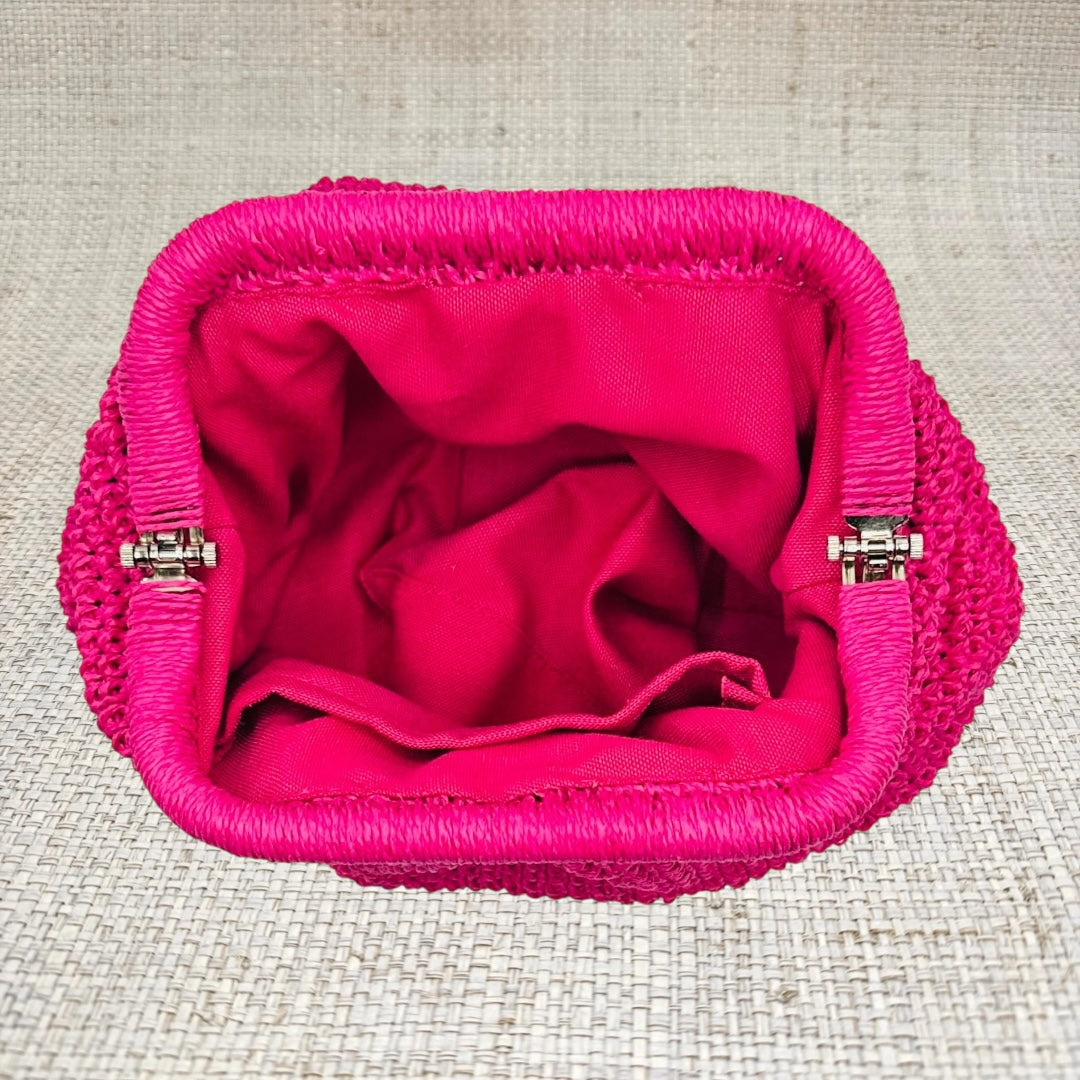 Pink Pouch Bag